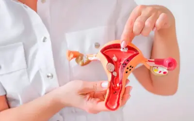 When Should You Treat Fibroids?
